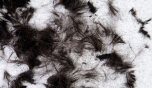 In-Home Senior Hairdresser Vancouver